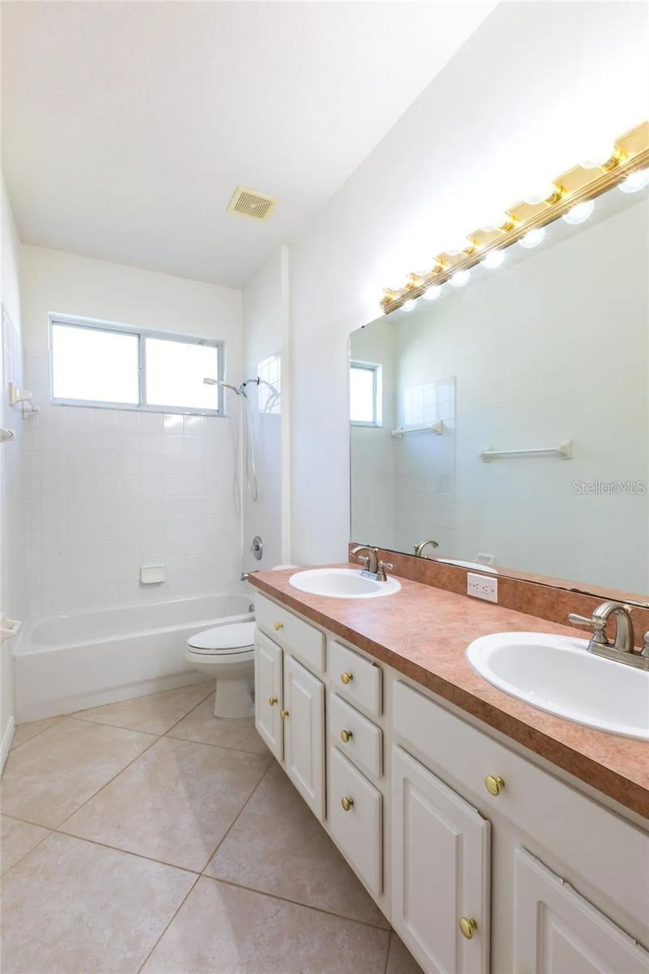 7209 Colonial Lake Drive Riverview FL 33578