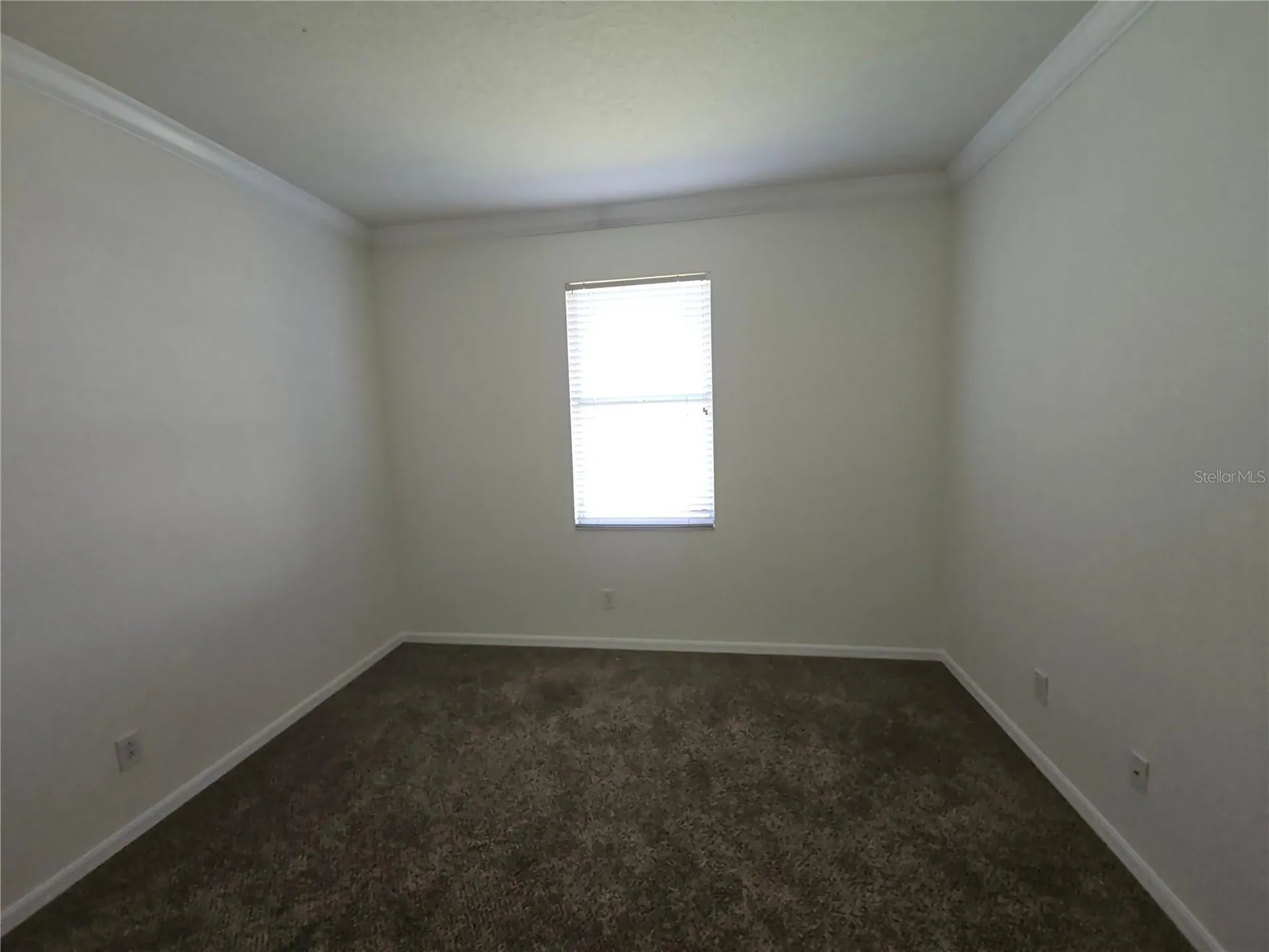 7209 Colonial Lake Drive Riverview FL 33578