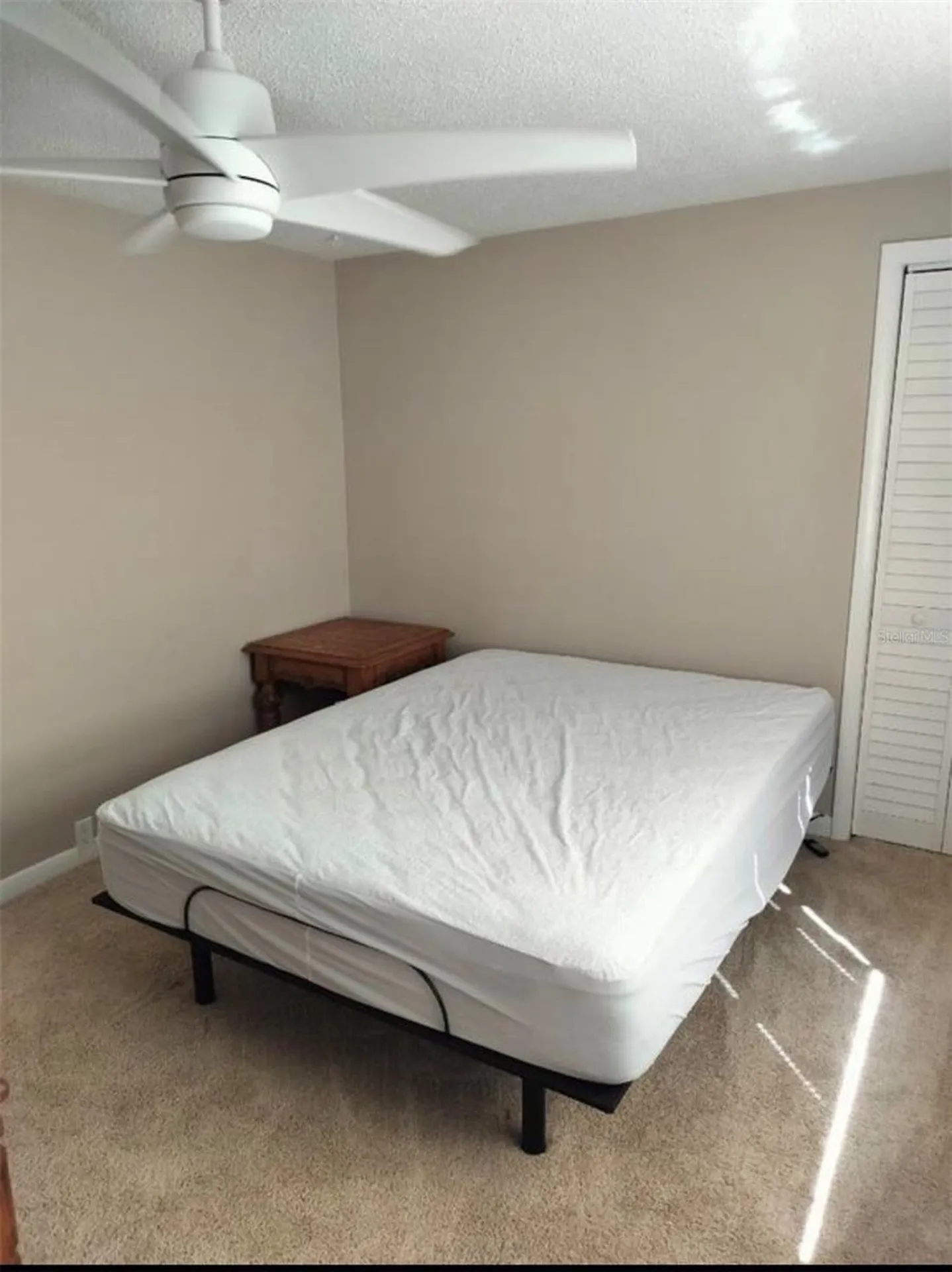 2317 W Bristol Avenue Tampa FL 33609