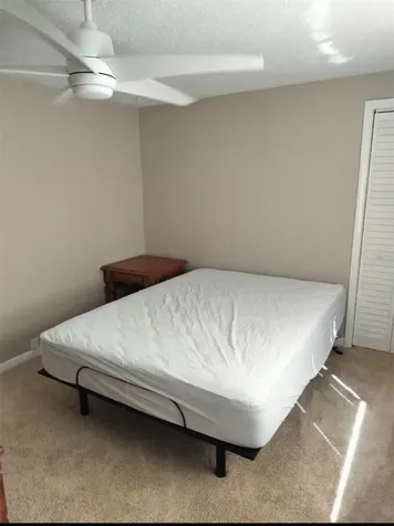 2317 W Bristol Avenue Tampa FL 33609