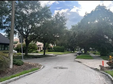 2317 W Bristol Avenue Tampa FL 33609
