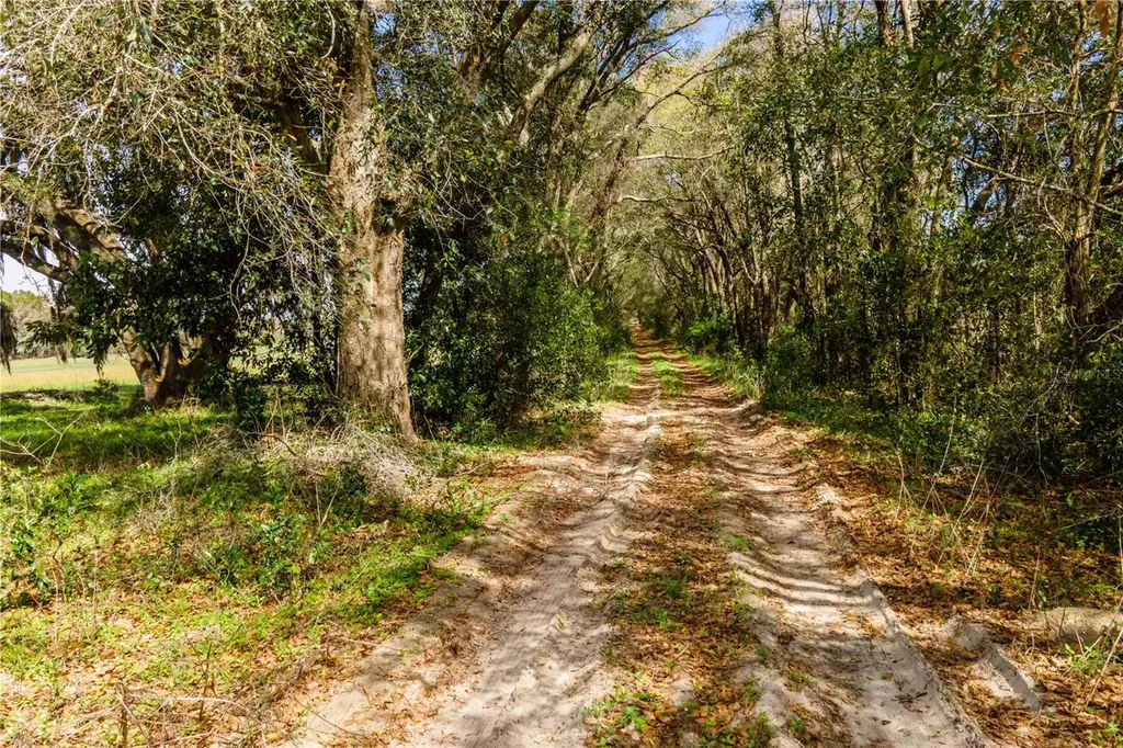 Tbd SW 298 Street Newberry FL 32669