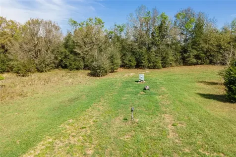 Tbd SW 298 Street Newberry FL 32669