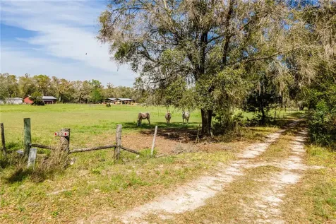 Tbd SW 298 Street Newberry FL 32669