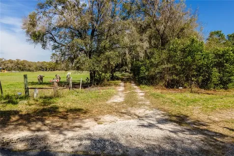 Tbd SW 298 Street Newberry FL 32669