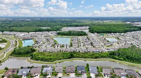 32697 Natural Bridge Road Wesley Chapel FL 33543