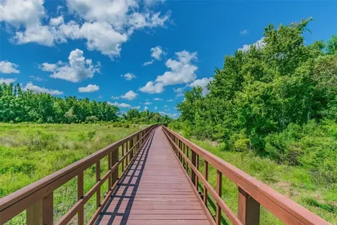 32697 Natural Bridge Road Wesley Chapel FL 33543
