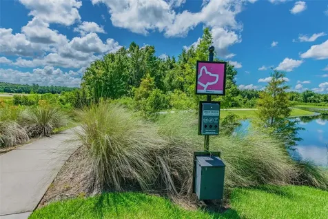32697 Natural Bridge Road Wesley Chapel FL 33543