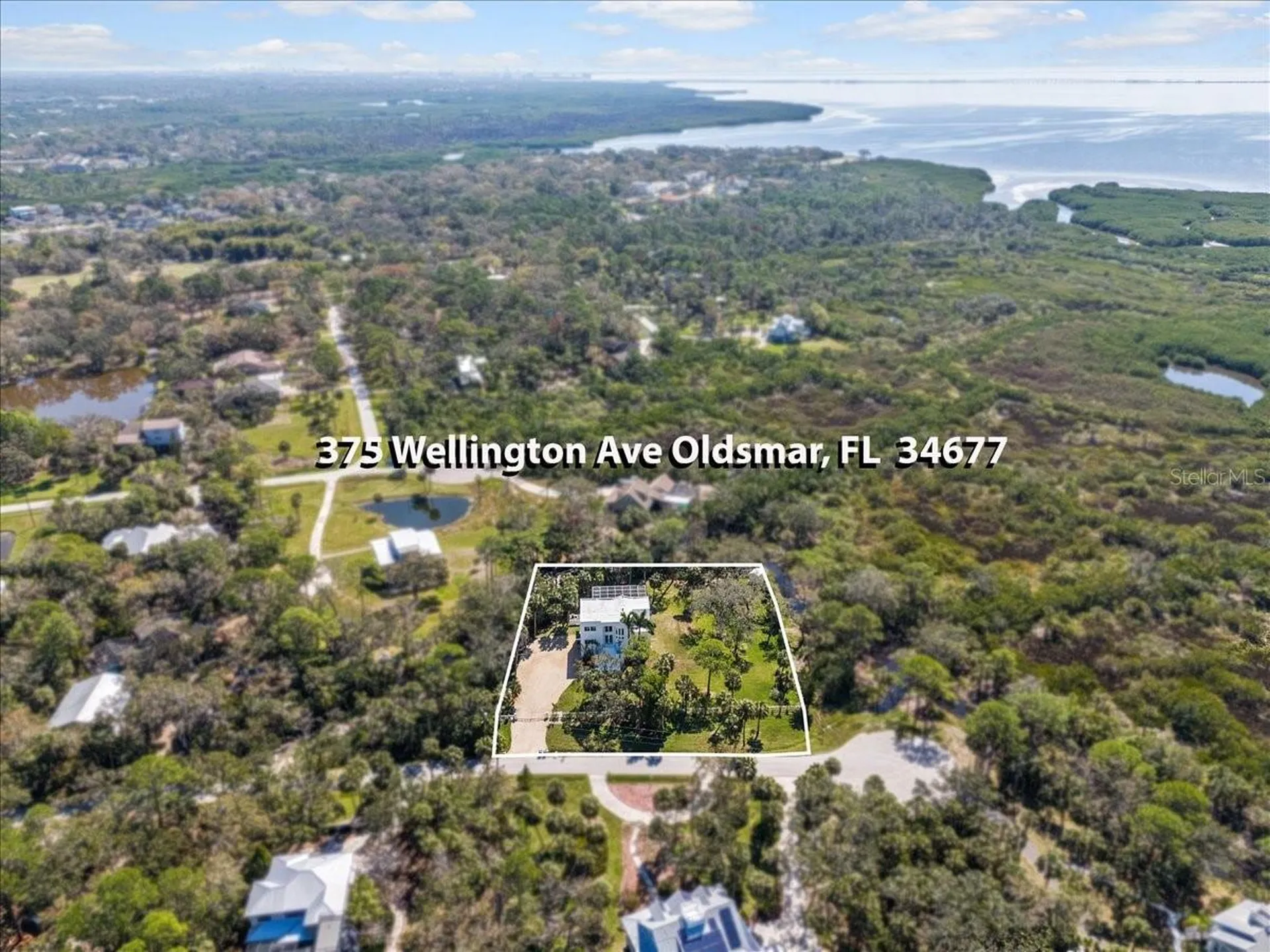 375 Wellington Avenue Oldsmar FL 34677