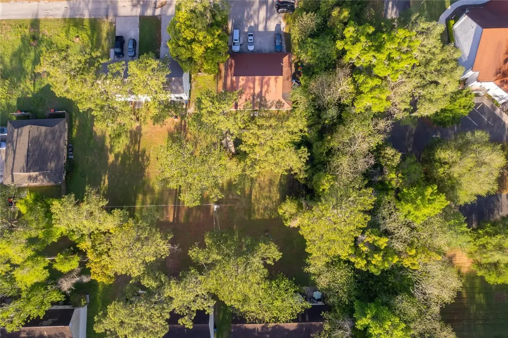 11551 SE 57th Court Belleview FL 34420