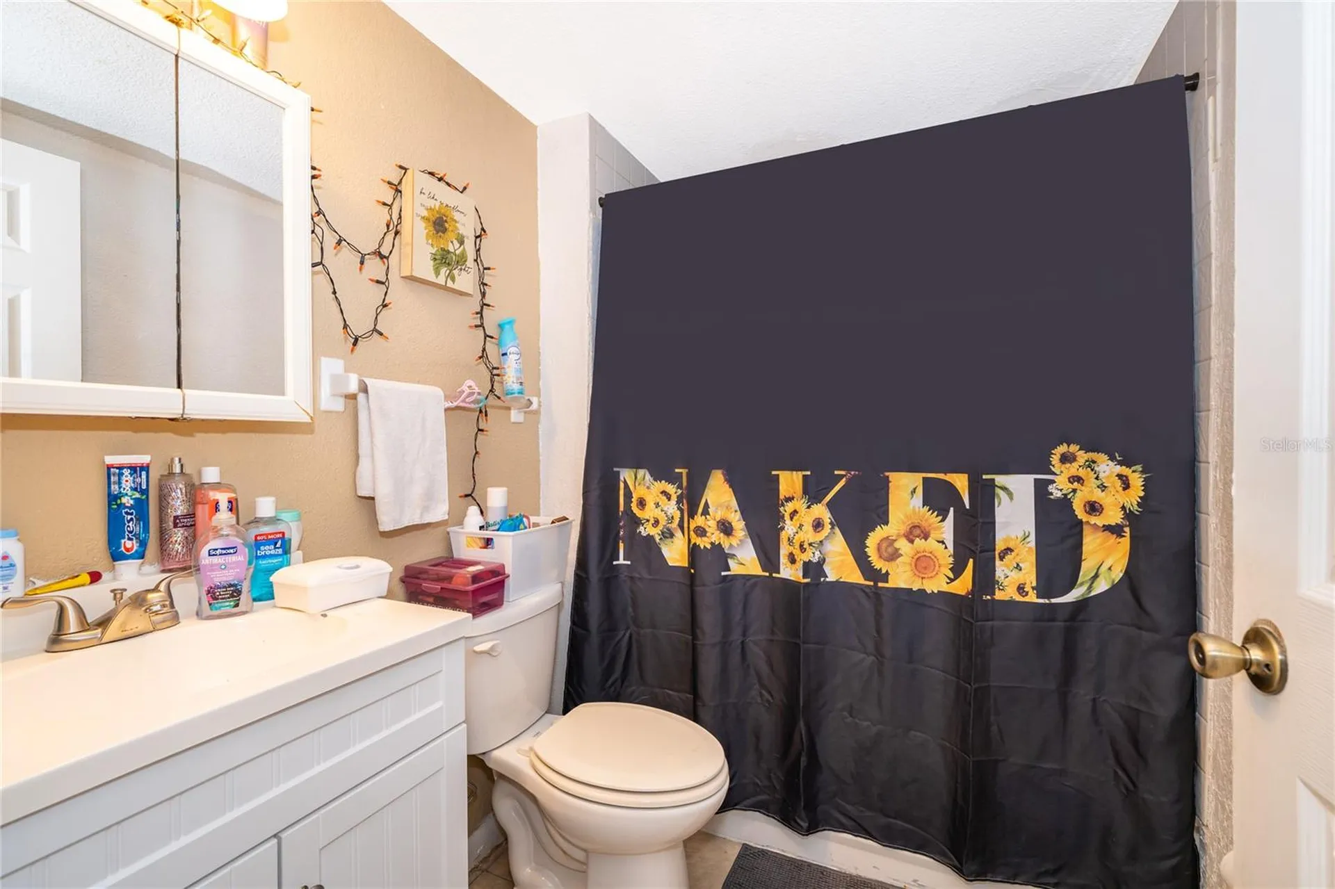 11551 SE 57th Court Belleview FL 34420