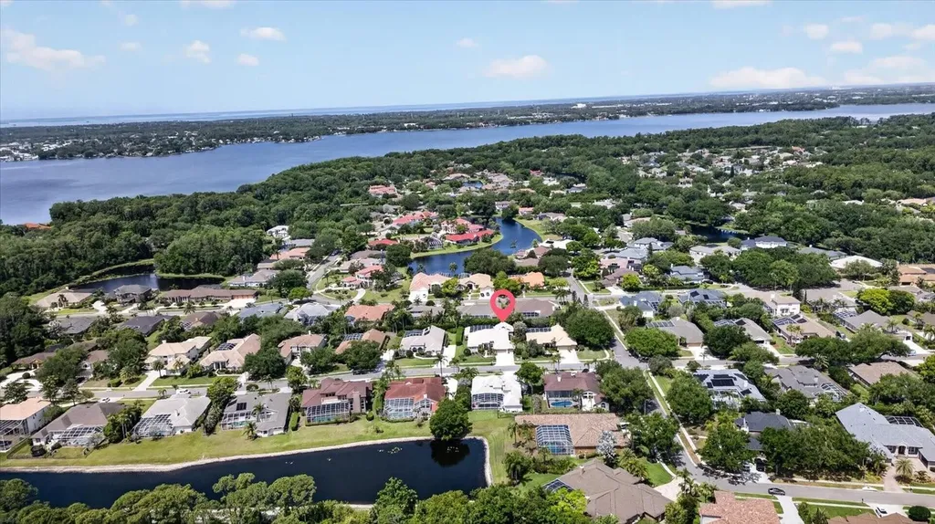 4052 Capitol Drive Palm Harbor FL 34685