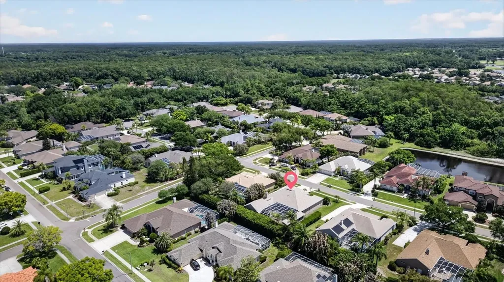 4052 Capitol Drive Palm Harbor FL 34685