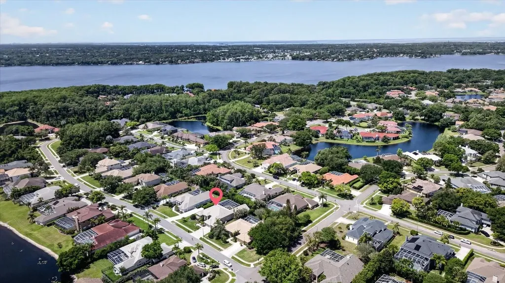 4052 Capitol Drive Palm Harbor FL 34685