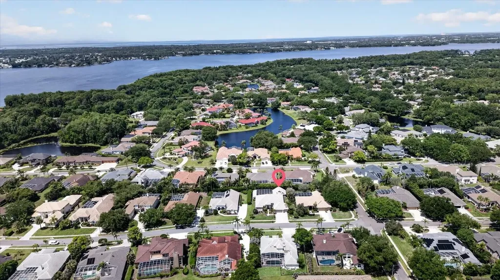 4052 Capitol Drive Palm Harbor FL 34685