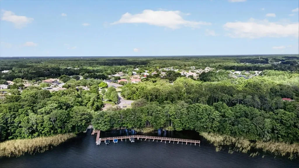 4052 Capitol Drive Palm Harbor FL 34685