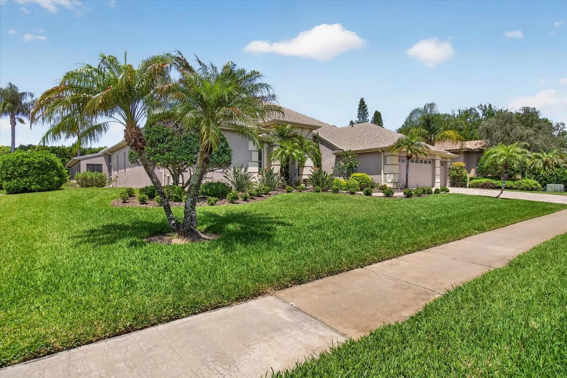 4052 Capitol Drive Palm Harbor FL 34685