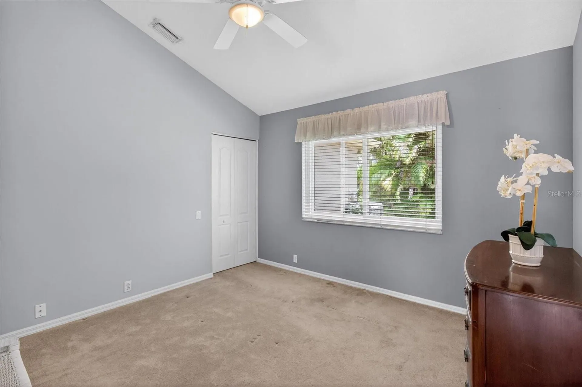 4052 Capitol Drive Palm Harbor FL 34685