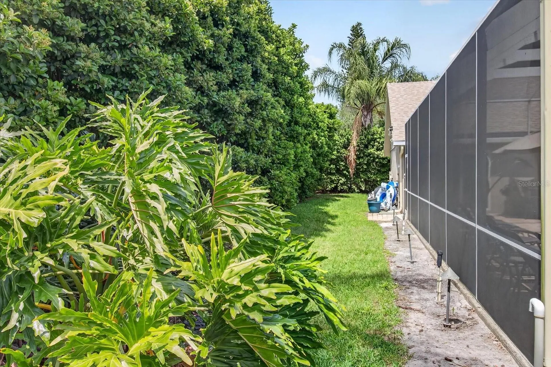 4052 Capitol Drive Palm Harbor FL 34685