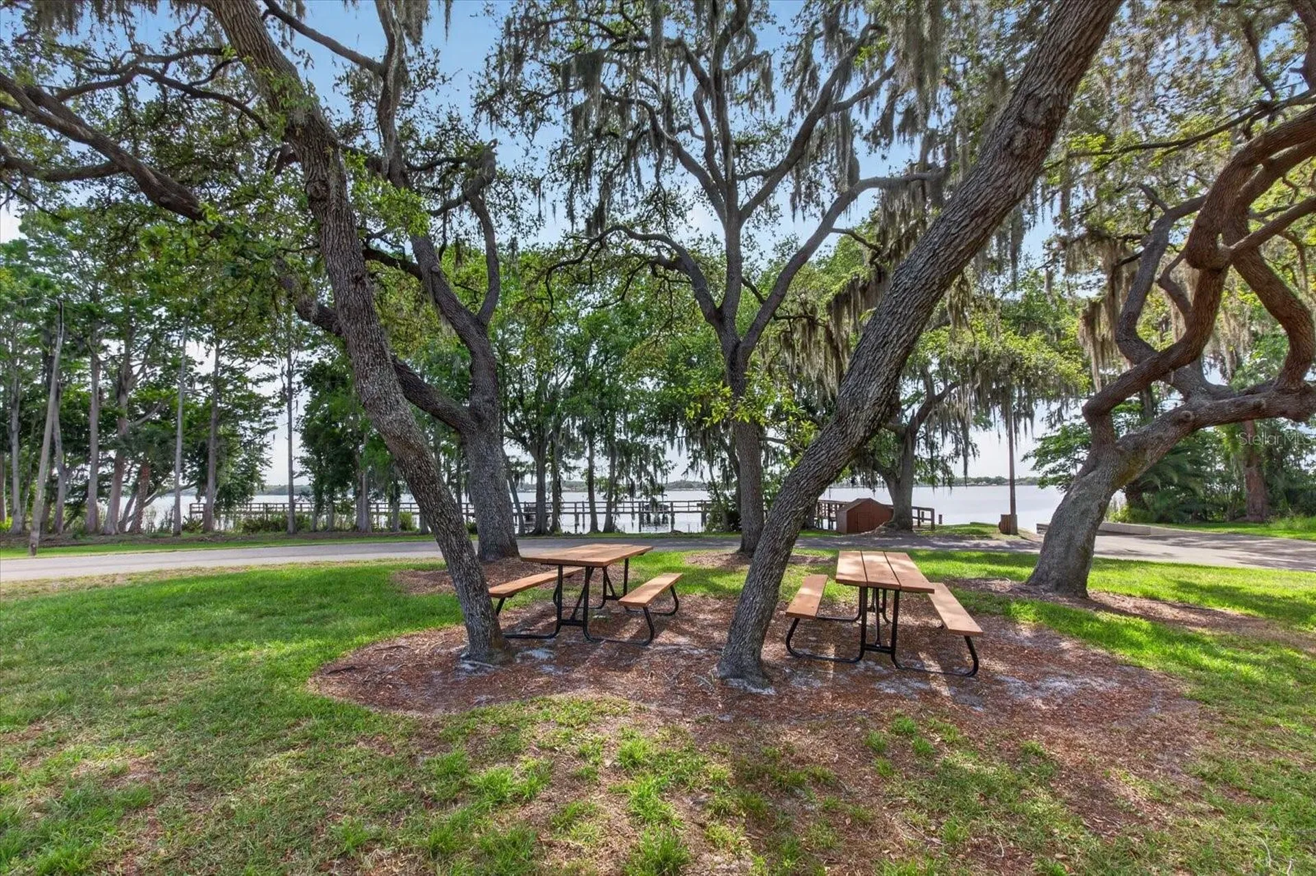 4052 Capitol Drive Palm Harbor FL 34685