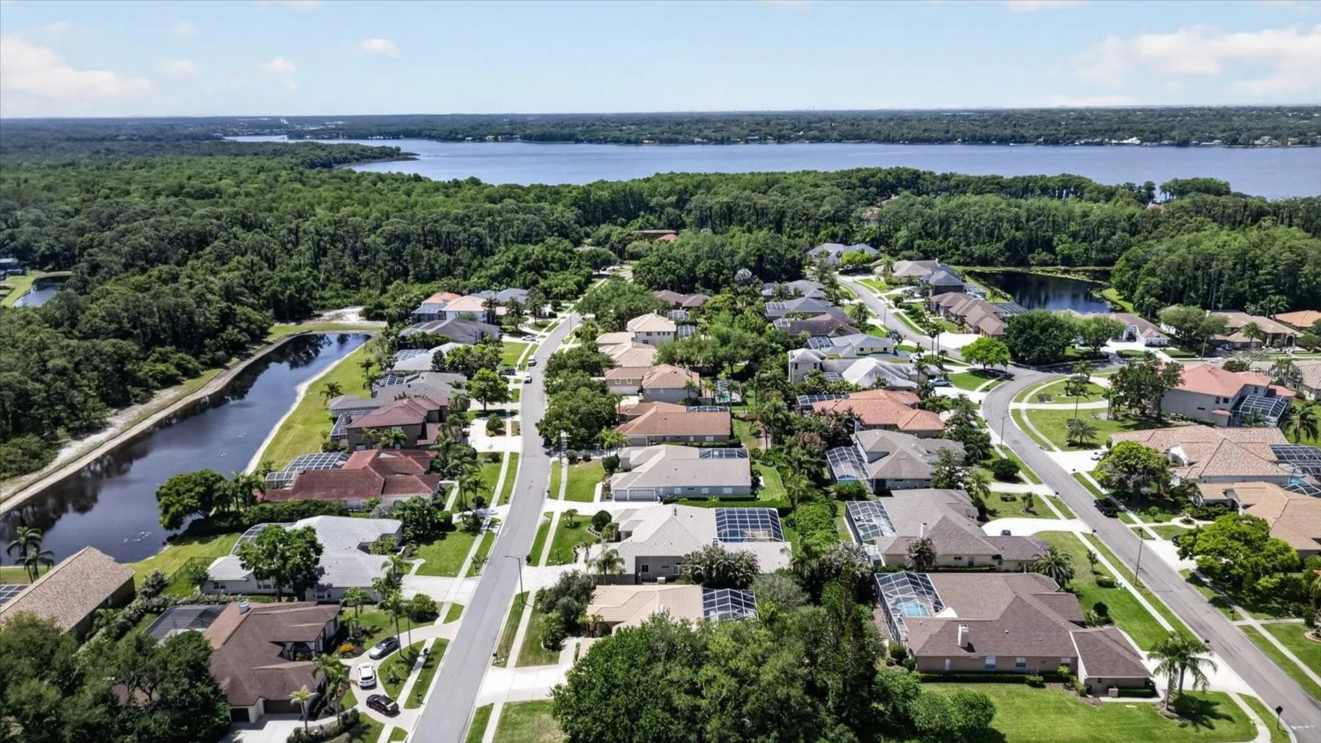 4052 Capitol Drive Palm Harbor FL 34685