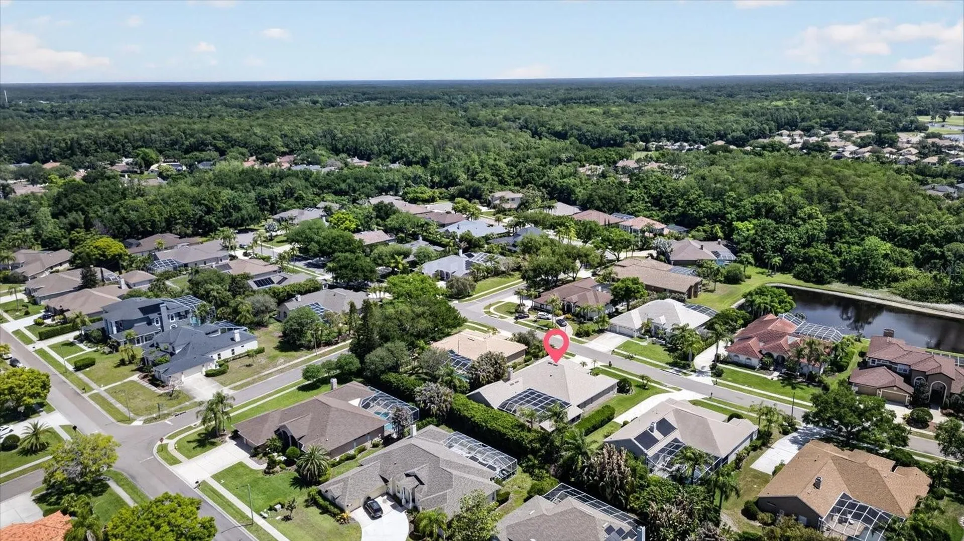 4052 Capitol Drive Palm Harbor FL 34685