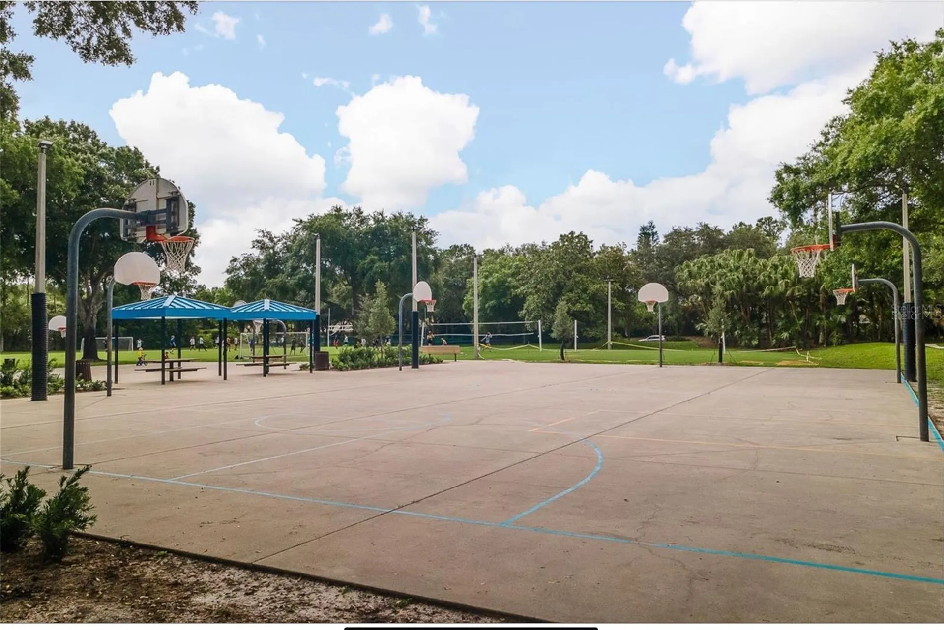 4052 Capitol Drive Palm Harbor FL 34685