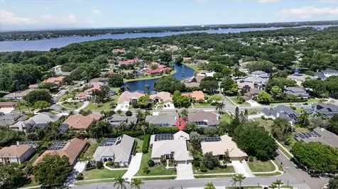 4052 Capitol Drive Palm Harbor FL 34685