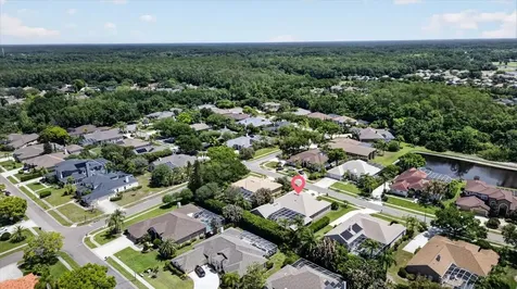 4052 Capitol Drive Palm Harbor FL 34685