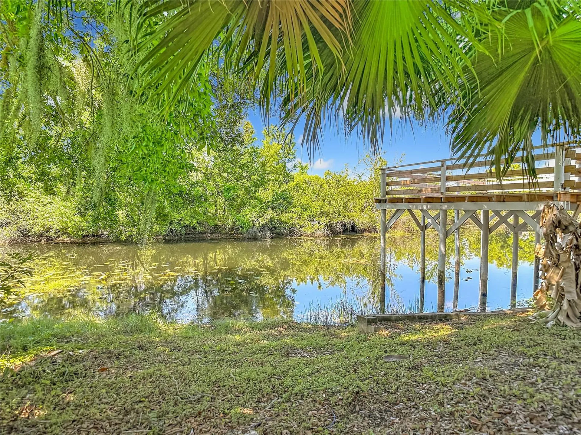 2445 Glenview Drive Land O Lakes FL 34639