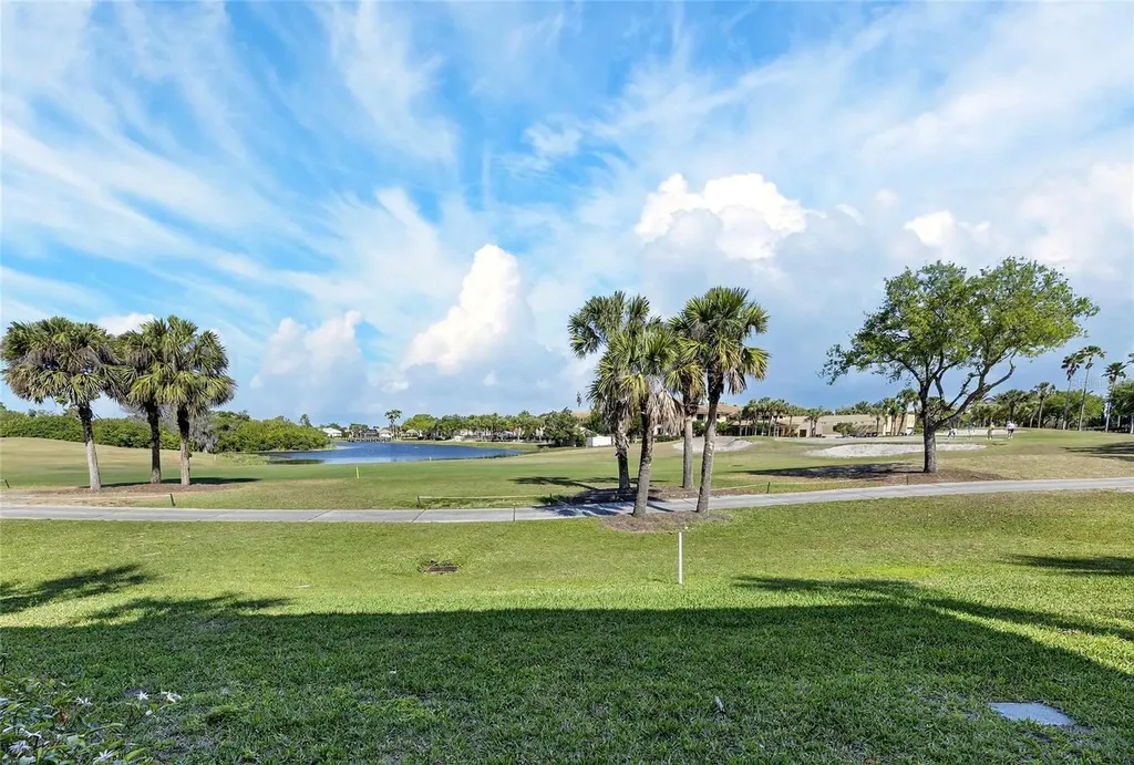 1351 Emerald Dunes Drive Sun City Center FL 33573
