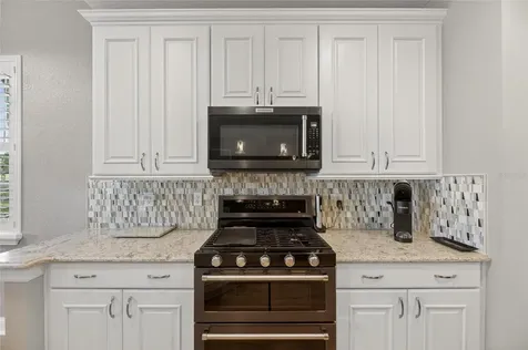 1351 Emerald Dunes Drive Sun City Center FL 33573