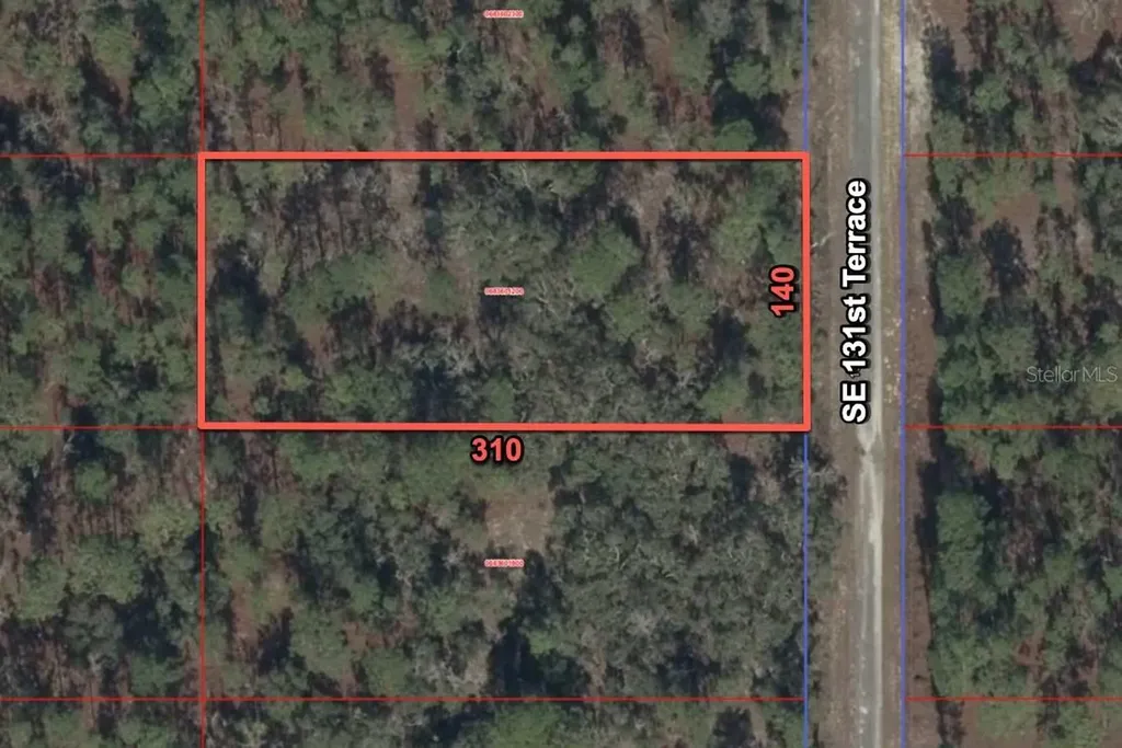 11320 SE 131st Terrace Dunnellon FL 34431