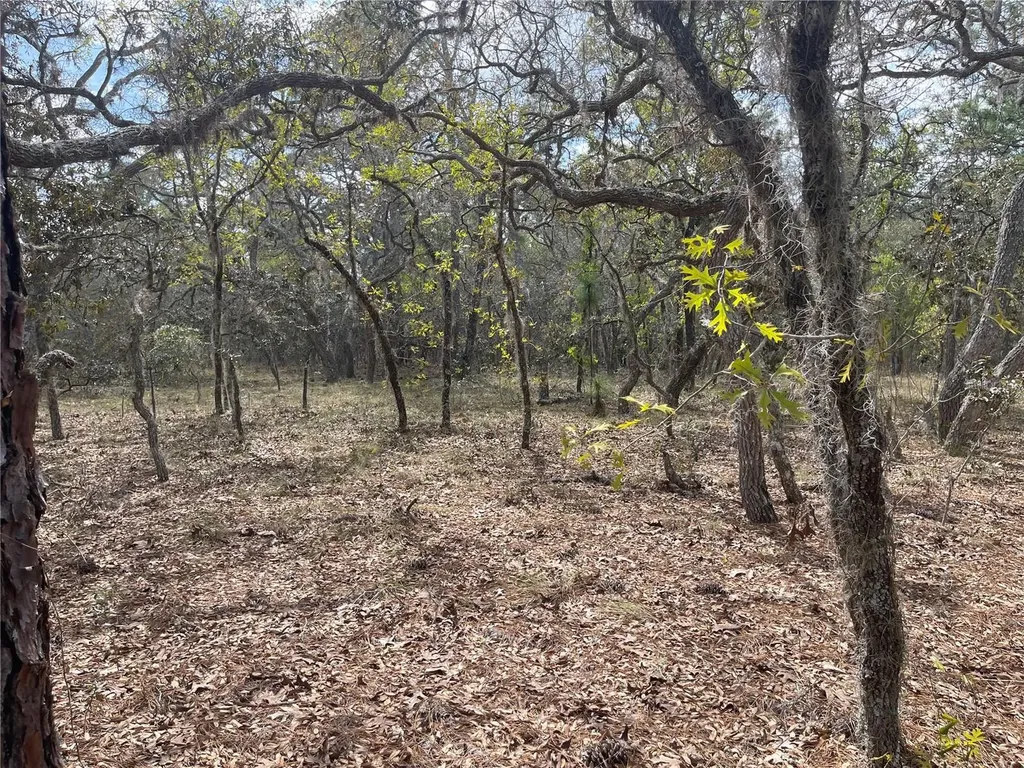 11320 SE 131st Terrace Dunnellon FL 34431