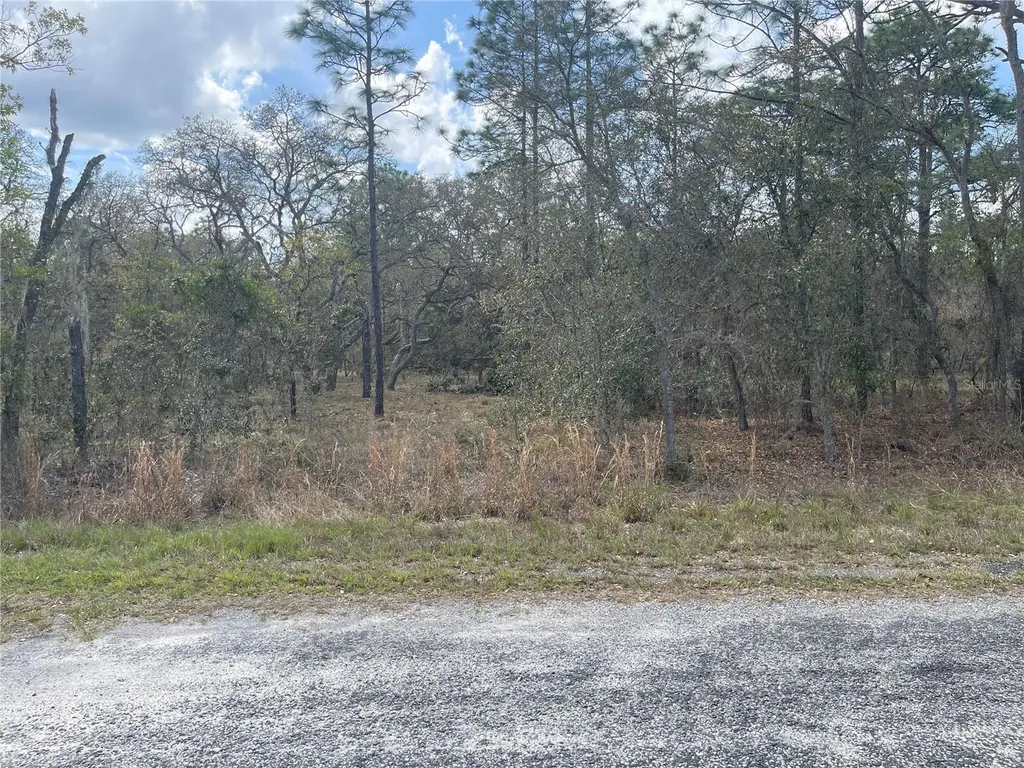 11320 SE 131st Terrace Dunnellon FL 34431