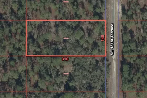 11320 SE 131st Terrace Dunnellon FL 34431