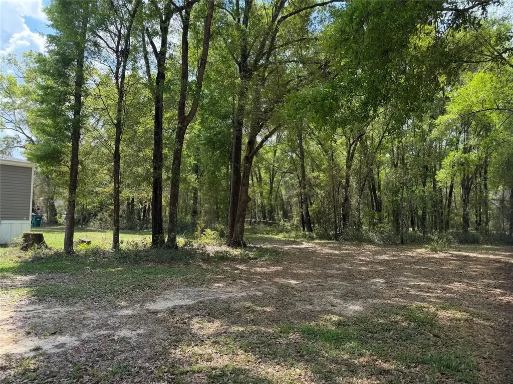4181 E Carl Ramm Lane Inverness FL 34452