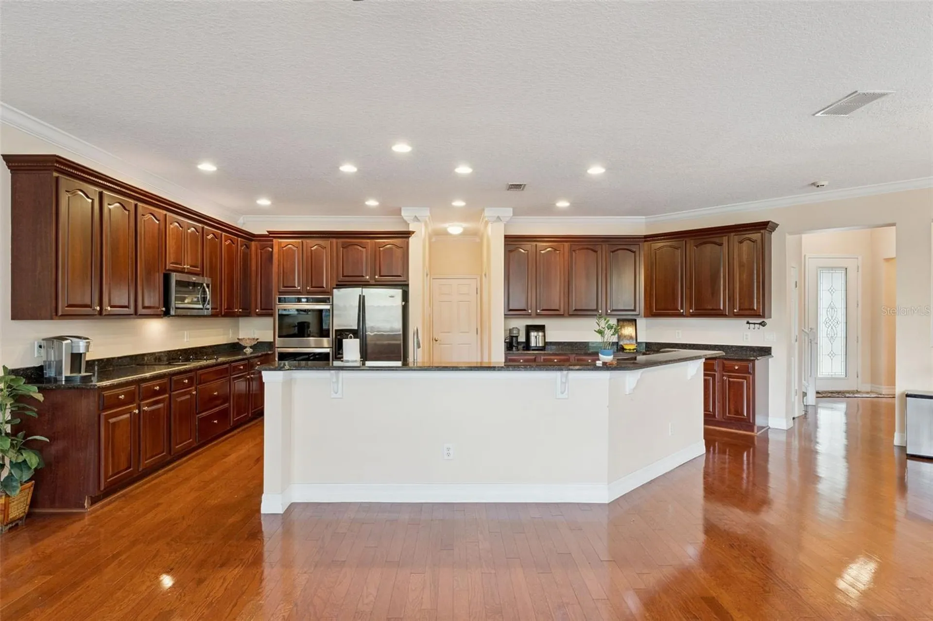 14790 Tullamore Loop Winter Garden FL 34787