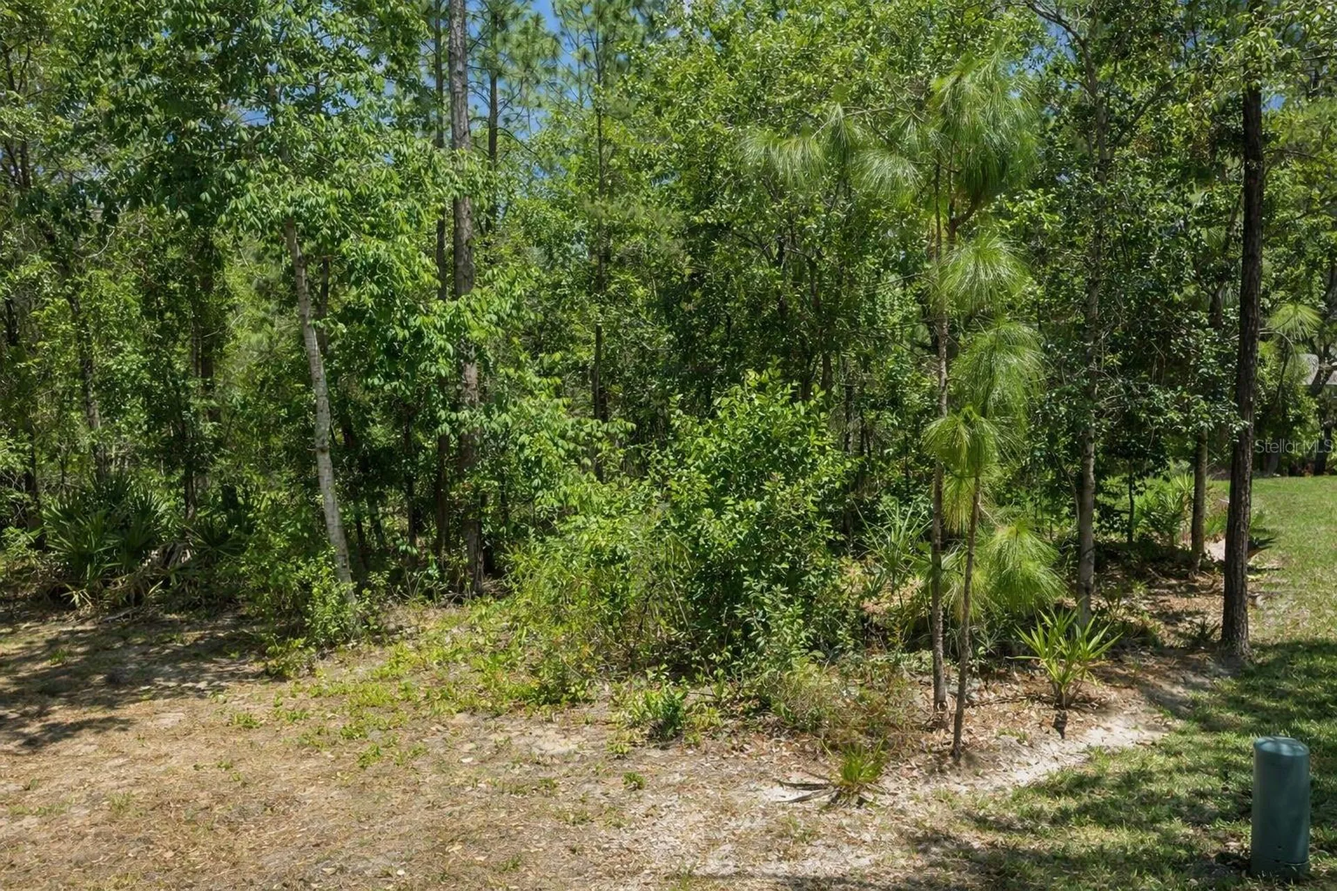 17 Speceberry Circle Homosassa FL 34446