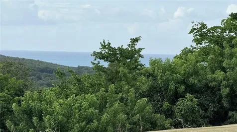 194 La Loma De Fajardo Fajardo PR 00738