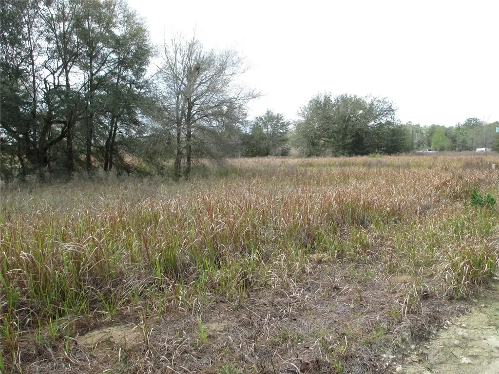 SW 24th Ocala FL 34481