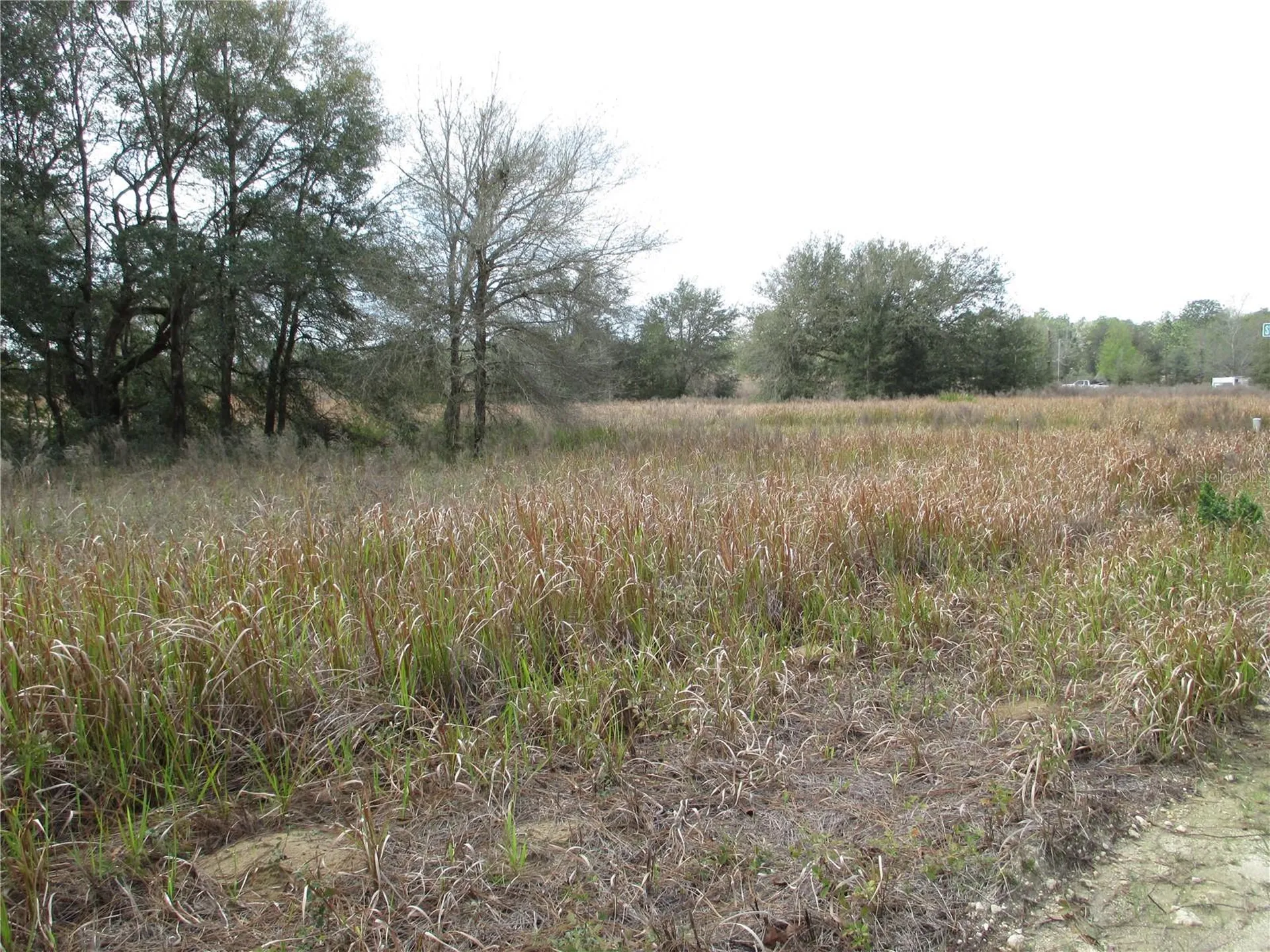 SW 24th Ocala FL 34481