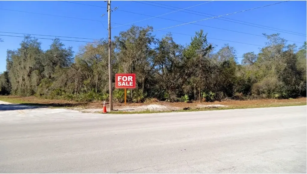 Tbd Corner Lot 175th Street Road NE Citra FL 32113
