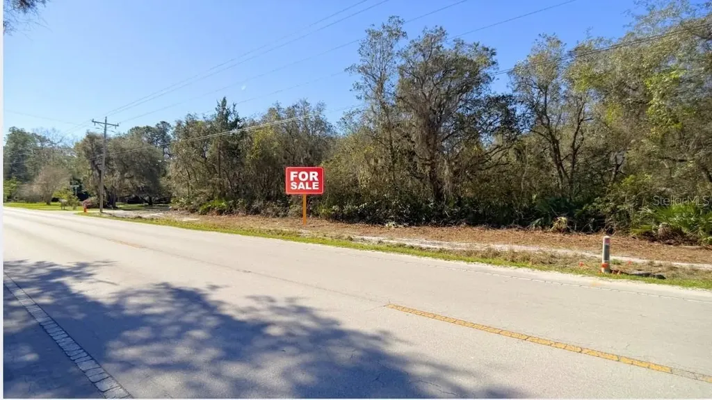 Tbd Corner Lot 175th Street Road NE Citra FL 32113