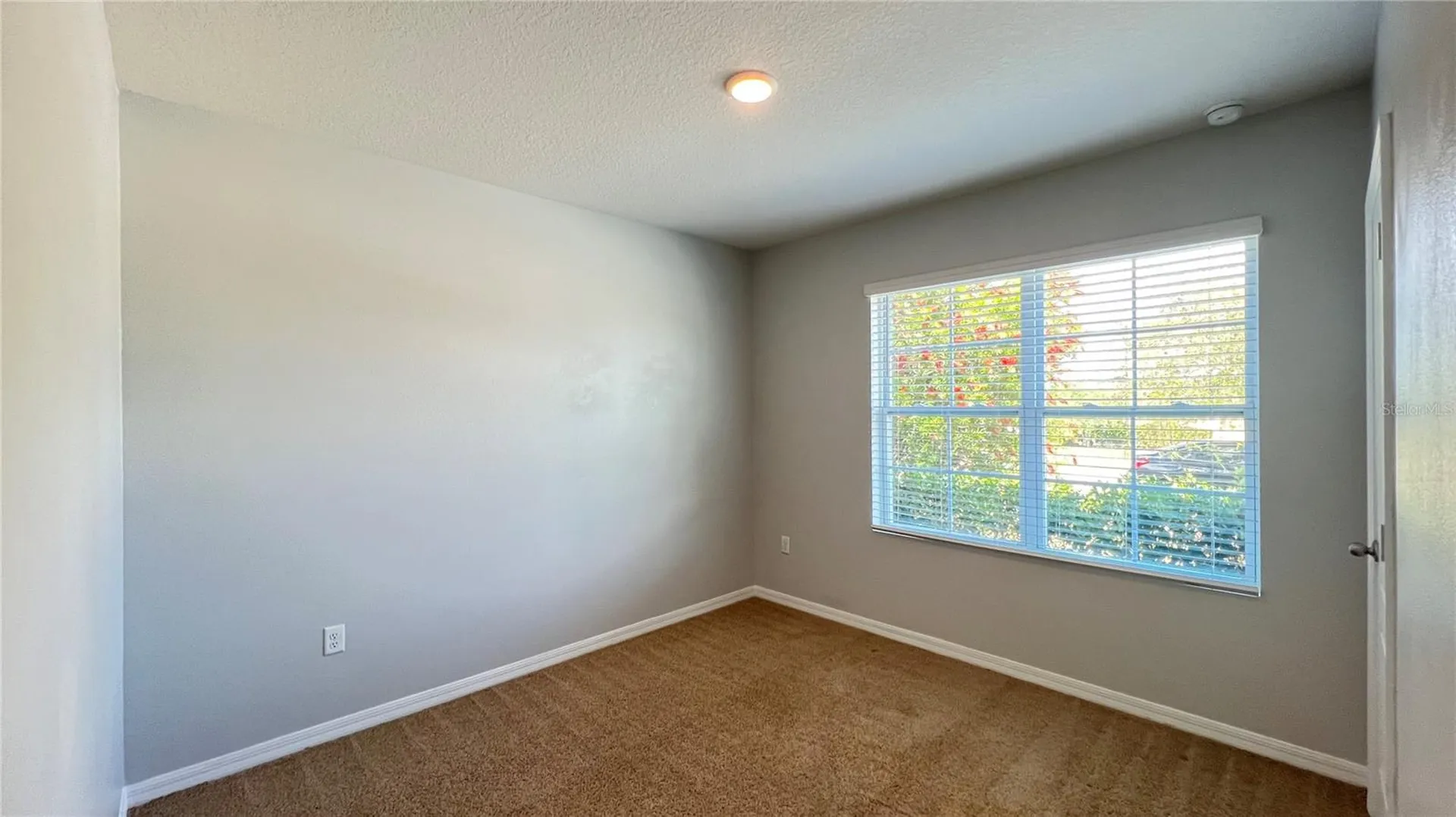 2440 White Poppy Drive Kissimmee FL 34747