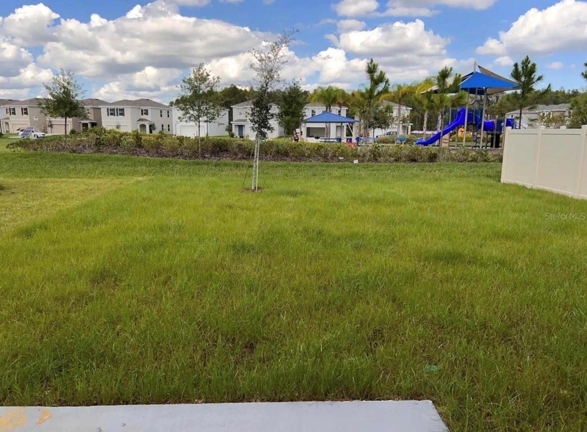 3379 Suncoast Plains Drive Odessa FL 33556