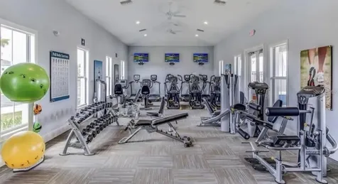 3379 Suncoast Plains Drive Odessa FL 33556