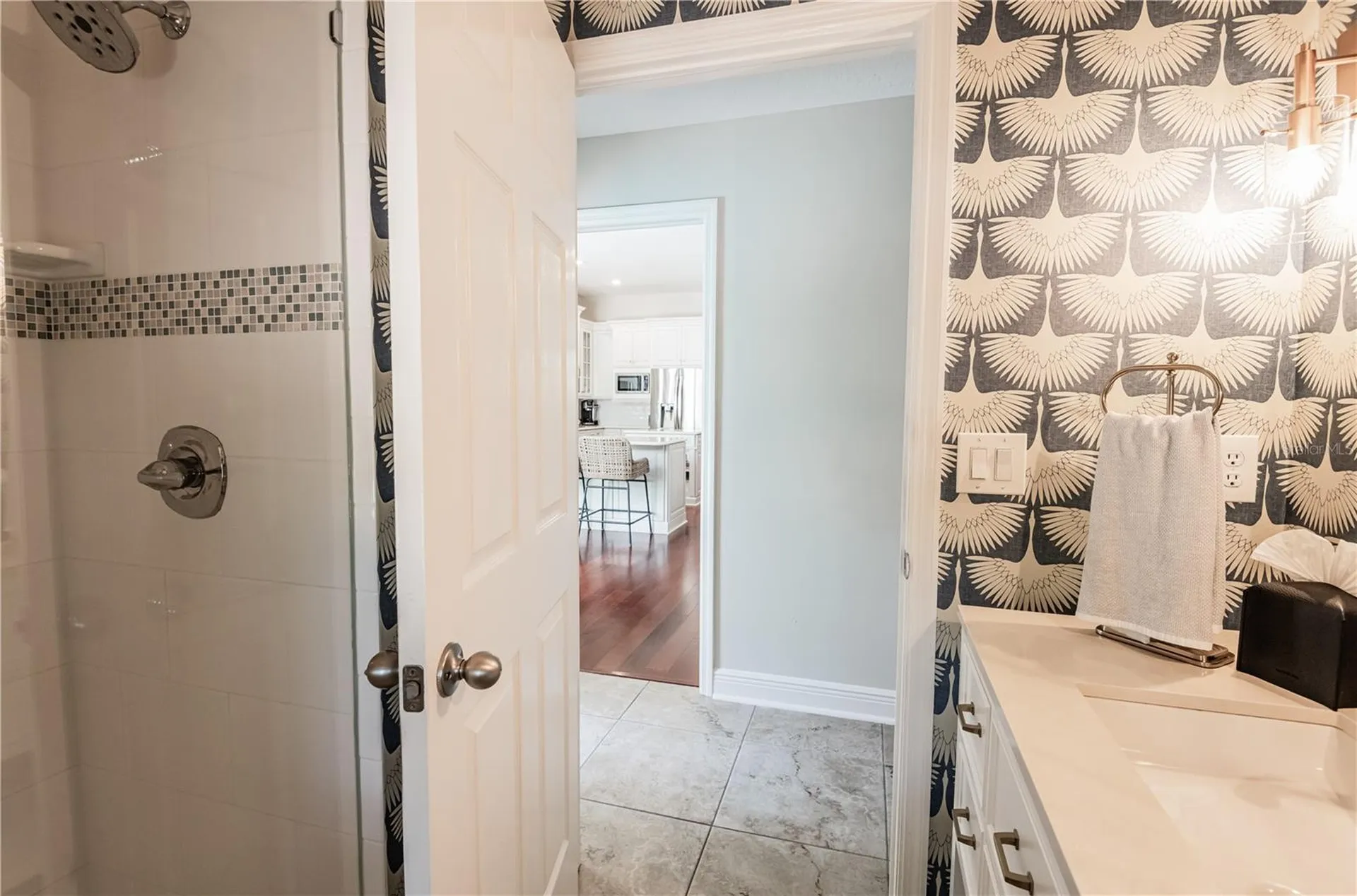17803 Hickory Moss Place Tampa FL 33647