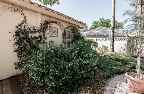 17803 Hickory Moss Place Tampa FL 33647