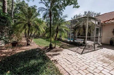 17803 Hickory Moss Place Tampa FL 33647